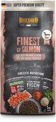 Belcando Finest GF Salmon pienille ja keskikokoisille aikuisille koirille 1 kg hinta ja tiedot | Belcando Lemmikit | hobbyhall.fi