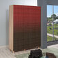 Vaatekaappi Kalune Design Wardrobe 863 (IV), 135 cm, punainen hinta ja tiedot | Kaapit | hobbyhall.fi
