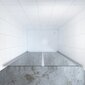 Suihkuovi Aquabatos, 110 x 195 cm, hopea hinta ja tiedot | Suihkuseinät ja -ovet | hobbyhall.fi