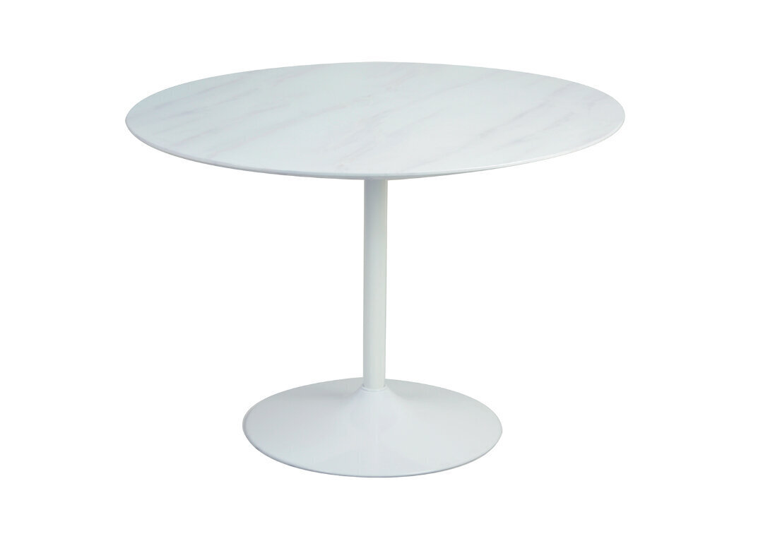 Pöytä SalesFever Laud, valkoinen hinta ja tiedot | Ruokapöydät | hobbyhall.fi
