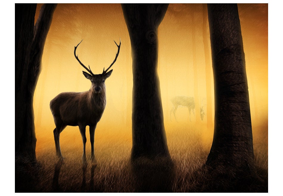 Valokuvatapetti - Deer in his natural habitat 400x309 cm hinta ja tiedot | Valokuvatapetit | hobbyhall.fi