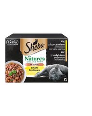 Sheba Nature's kissanruokasetti siipikarjalla, 32x85 g hinta ja tiedot | Kissanruoka | hobbyhall.fi