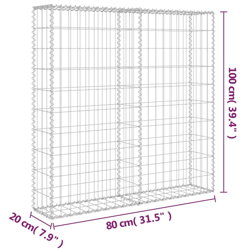 vidaXL Gabionseinä kansilla galvanoitu teräs 80x20x100 cm hinta ja tiedot | Aidat ja tarvikkeet | hobbyhall.fi