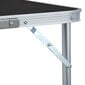 vidaXL Kokoontaitettava retkipöytä harmaa alumiini 240x60 cm hinta ja tiedot | Retkeilyvarusteet | hobbyhall.fi
