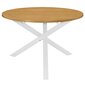vidaXL Ruokapöytä valkoinen 120x75 cm MDF hinta ja tiedot | Ruokapöydät | hobbyhall.fi