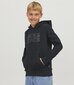 Jack & Jones JUNIOR lasten collegepaita 12152841*05, musta/musta 5715321545936 hinta ja tiedot | Poikien puserot, liivit ja jakut | hobbyhall.fi