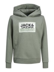 Jack & Jones lasten collegepaita 12254120*01, oliivi/ag 5715514900030 hinta ja tiedot | Jack&Jones Junior Muoti | hobbyhall.fi