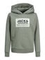 Jack & Jones lasten collegepaita 12254120*01, oliivi/ag 5715514900030 hinta ja tiedot | Poikien puserot, liivit ja jakut | hobbyhall.fi