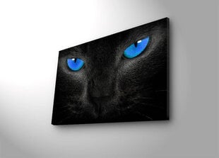 Jäljennös Musta kissa hinta ja tiedot | Taulut | hobbyhall.fi