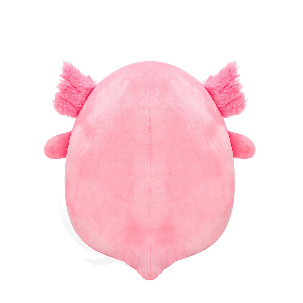 Pehmo Squishmallows W2, 30 cm hinta ja tiedot | Pehmolelut | hobbyhall.fi