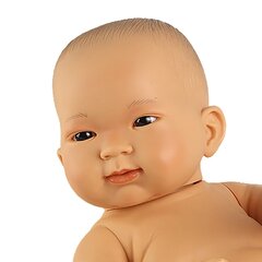 Vauvanukke Llorens Lian, 45 cm hinta ja tiedot | Tyttöjen lelut | hobbyhall.fi