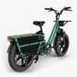 Sähköpyörä Fiido T2, 20", vihreä, 750W hinta ja tiedot | Sähköpyörät | hobbyhall.fi