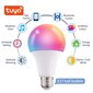 Älykäs LED-lamppu Tuya A65 12W E27 hinta ja tiedot | Lamput | hobbyhall.fi