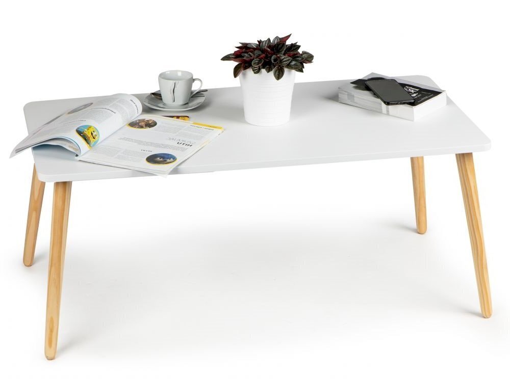 Moderni skandinaavinen sohvapöytä, 100 cm. hinta ja tiedot | Sohvapöydät | hobbyhall.fi