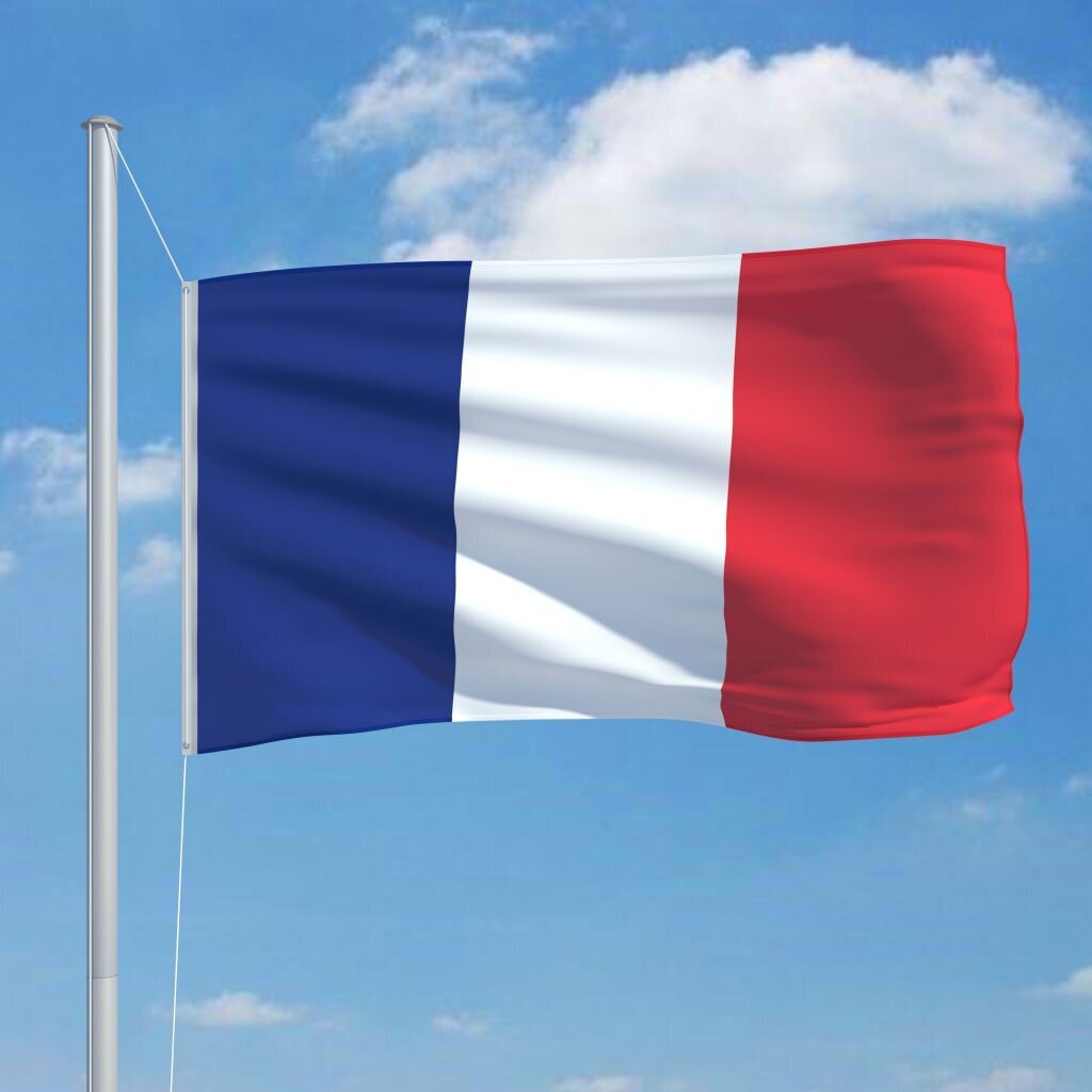 vidaXL Ranskan lippu 90x150 cm hinta ja tiedot | Liput | hobbyhall.fi