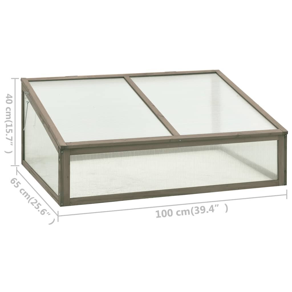 vidaXL Kasvihuone 100x65x40 cm kuusi hinta ja tiedot | Kasvihuoneet | hobbyhall.fi