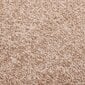 vidaXL Ovimatto beige 80x120 cm hinta ja tiedot | Ovimatot | hobbyhall.fi