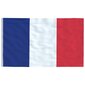vidaXL Ranskan lippu ja lipputanko 6,23 m alumiini hinta ja tiedot | Liput | hobbyhall.fi