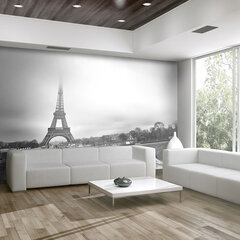 Valokuvatapetti - Paris: Eiffel Tower 400x309 cm hinta ja tiedot | Valokuvatapetit | hobbyhall.fi