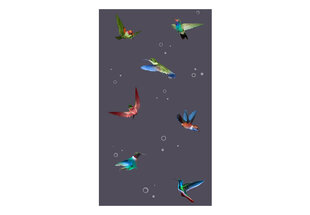 Valokuvatapetti - Flight of hummingbirds 50x1000 cm hinta ja tiedot | Valokuvatapetit | hobbyhall.fi