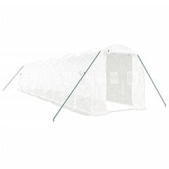 vidaXL Kasvihuone teräsrungolla valkoinen 20 m² 10x2x2 m hinta ja tiedot | Kasvihuoneet | hobbyhall.fi