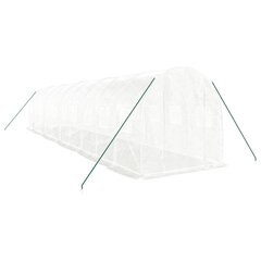 vidaXL Kasvihuone teräsrungolla valkoinen 20 m² 10x2x2 m hinta ja tiedot | Kasvihuoneet | hobbyhall.fi