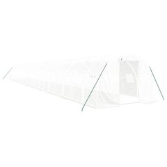 vidaXL Kasvihuone teräsrungolla valkoinen 66 m² 22x3x2 m hinta ja tiedot | Kasvihuoneet | hobbyhall.fi