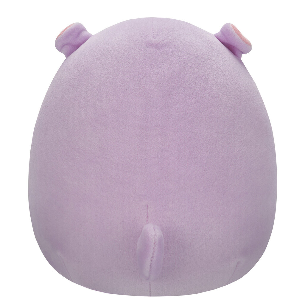 Ystävänpäivä Pehmolelu Squishmallows, 19 cm hinta ja tiedot | Pehmolelut | hobbyhall.fi