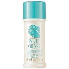 Deodoranttipuikko Elizabeth Arden Blue Grass naisille 40 ml hinta ja tiedot | Naisten ihonhoito | hobbyhall.fi