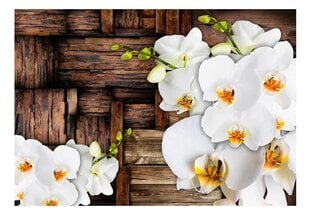 Valokuvatapetti - Blooming orchids 250x175 cm hinta ja tiedot | Valokuvatapetit | hobbyhall.fi
