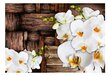 Valokuvatapetti - Blooming orchids 350x245 cm hinta ja tiedot | Valokuvatapetit | hobbyhall.fi