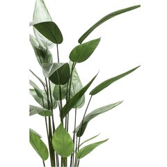 Emerald Helikonia tekokasvi vihreä 125 cm 419837 hinta ja tiedot | Keinotekoiset kukat | hobbyhall.fi