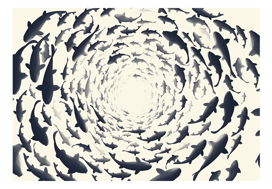 Valokuvatapetti - Fish swirl 350x245 cm hinta ja tiedot | Valokuvatapetit | hobbyhall.fi