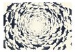 Valokuvatapetti - Fish swirl 400x280 cm hinta ja tiedot | Valokuvatapetit | hobbyhall.fi