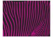 Valokuvatapetti - Zebra pattern (violet) 400x309 cm hinta ja tiedot | Valokuvatapetit | hobbyhall.fi