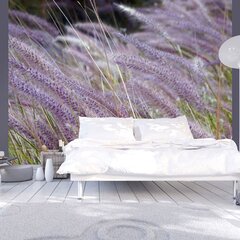 Valokuvatapetti - Vihreä kenttä ja violetit kukat 400x309 cm hinta ja tiedot | Valokuvatapetit | hobbyhall.fi