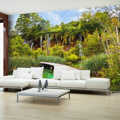 Valokuvatapetti - Green oasis 250x175 cm hinta ja tiedot | Valokuvatapetit | hobbyhall.fi