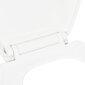 vidaXL Soft-close WC-istuin pikakiinnityksellä valkoinen hinta ja tiedot | WC-istuimen lisätarvikkeet | hobbyhall.fi
