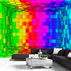 Valokuvatapetti - Rainbow Cube 441x315 cm hinta ja tiedot | Valokuvatapetit | hobbyhall.fi