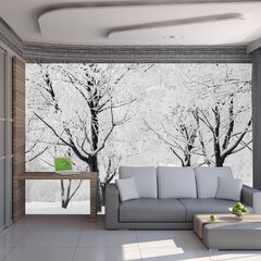 Valokuvatapetti - Trees - talvimaisema 300x231 cm hinta ja tiedot | Valokuvatapetit | hobbyhall.fi
