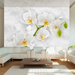 Valokuvatapetti - Lyrical orchid - White 350x245 cm hinta ja tiedot | Valokuvatapetit | hobbyhall.fi