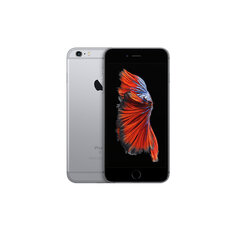 iPhone 6S 32GB (Kunnostettu, kunto uudenveroinen) hinta ja tiedot | Matkapuhelimet | hobbyhall.fi