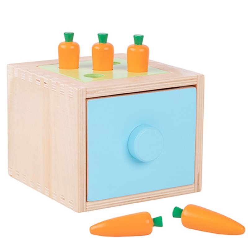 Puinen Montessori lajittelukuutio 4in1, Tooky Toy hinta ja tiedot | Kehittävät lelut | hobbyhall.fi