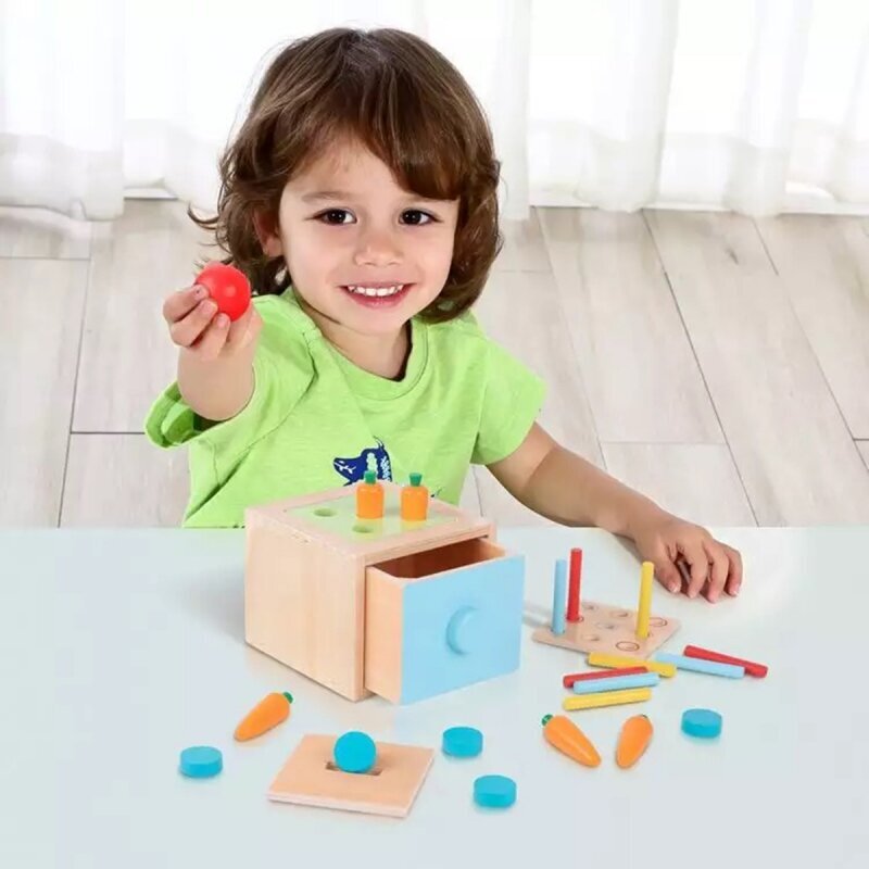 Puinen Montessori lajittelukuutio 4in1, Tooky Toy hinta ja tiedot | Kehittävät lelut | hobbyhall.fi