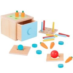 Puinen Montessori lajittelukuutio 4in1, Tooky Toy hinta ja tiedot | Kehittävät lelut | hobbyhall.fi