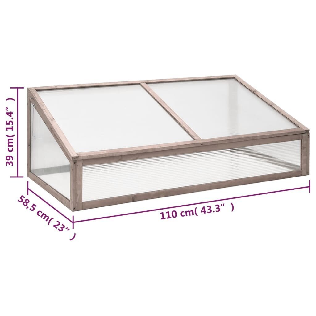 vidaXL Kasvihuone harmaa 110x58,5x39 cm kuusi hinta ja tiedot | Kasvihuoneet | hobbyhall.fi