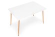 Suorakulmainen pöytä, 80 cm. 80 x 120 cm. hinta ja tiedot | Ruokapöydät | hobbyhall.fi