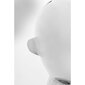 Koriste-esine Abstract Face Hopea 22cm hinta ja tiedot | Sisustustuotteet | hobbyhall.fi
