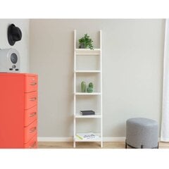 Lipasto Tenzo Malibu, oranssi/harmaa hinta ja tiedot | Lipastot | hobbyhall.fi