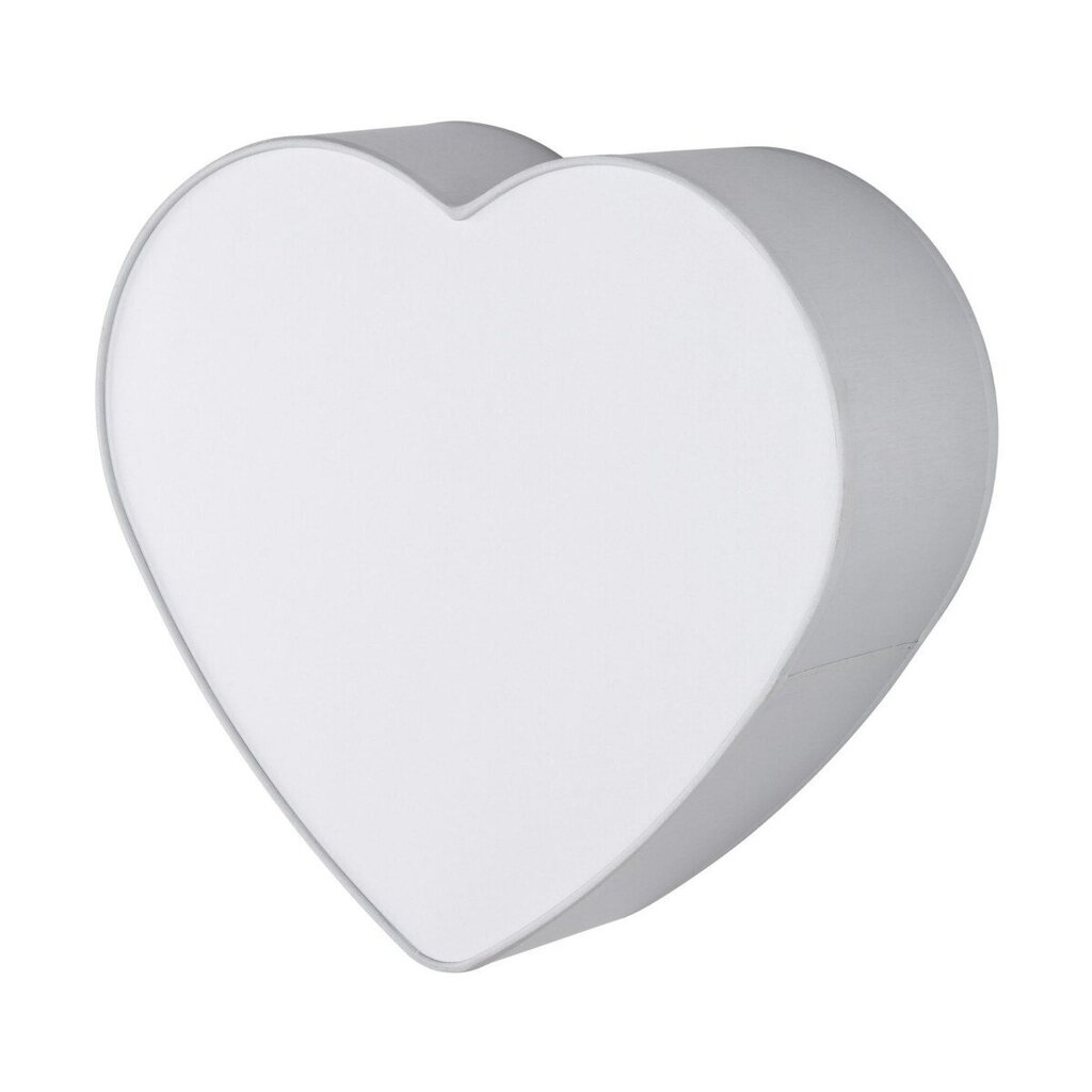 TK Lighting kattovalaisin Heart hinta ja tiedot | Kattovalaisimet | hobbyhall.fi